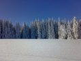 Louky nad chalupou